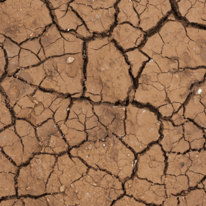 cracked dirt dry mexico